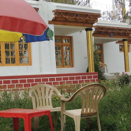 Ldumra Oasis Hundar Bagian luar foto