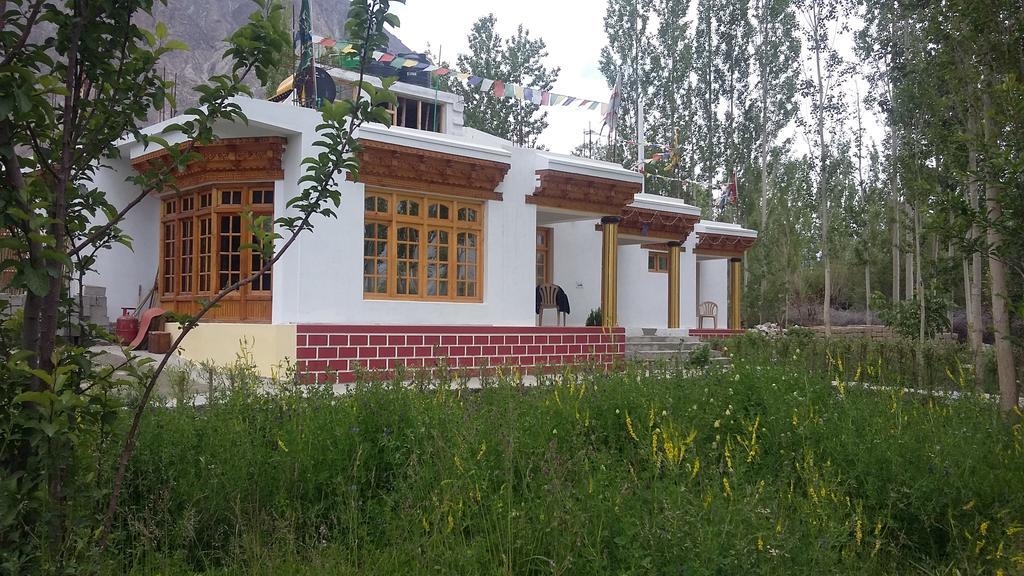 Ldumra Oasis Hundar Bagian luar foto