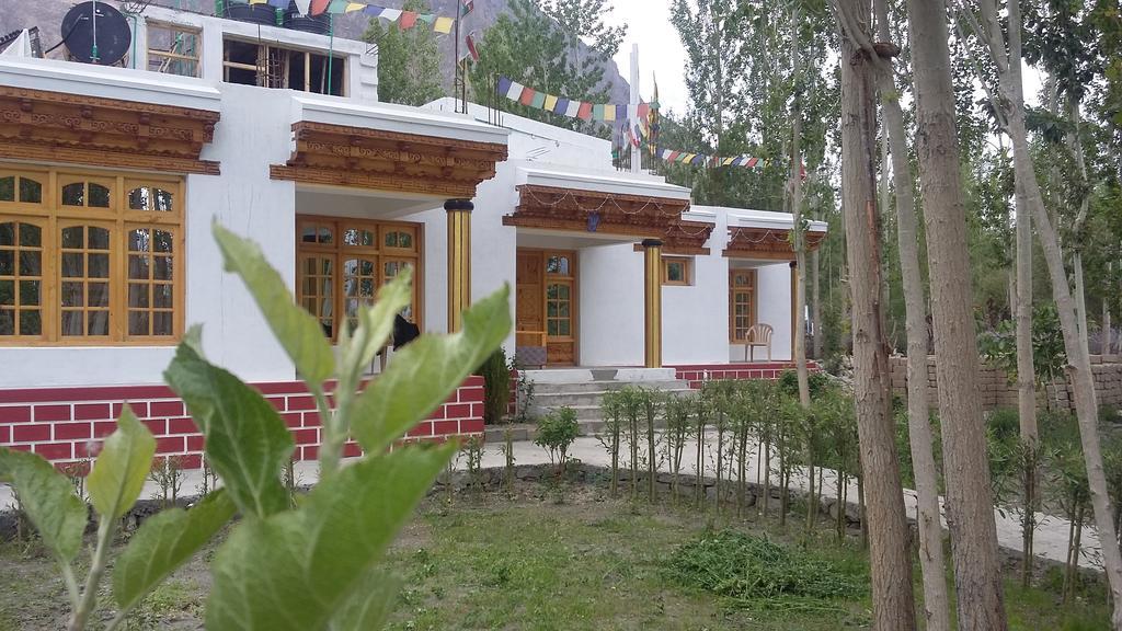 Ldumra Oasis Hundar Bagian luar foto
