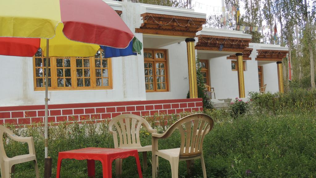 Ldumra Oasis Hundar Bagian luar foto