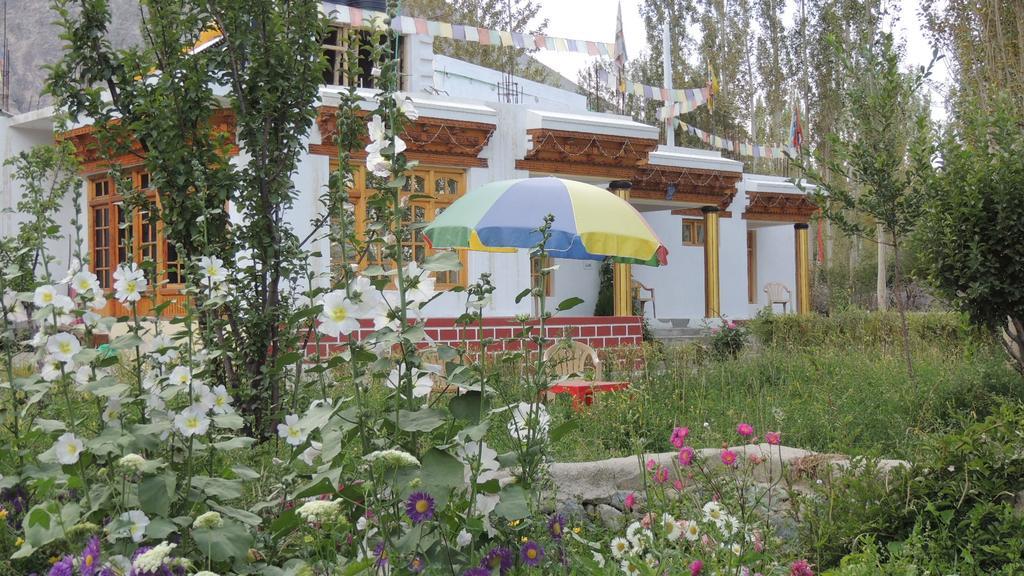 Ldumra Oasis Hundar Bagian luar foto